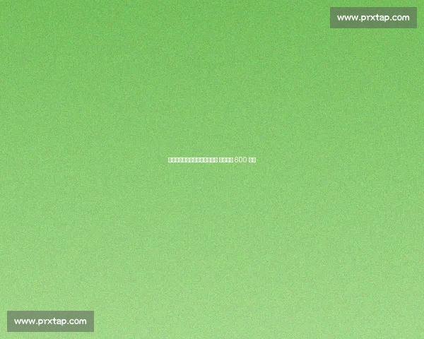 巴塞尔求租国米后卫帕拉西奥斯 买断条款 600 万欧