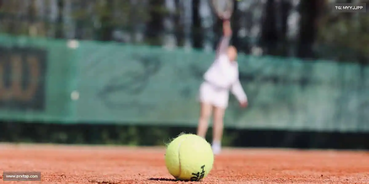 <strong>BB贝博艾弗森官网</strong>🚣‍♀️逆流而上，向阳而行！在体育的世界里，做自己的冠军～